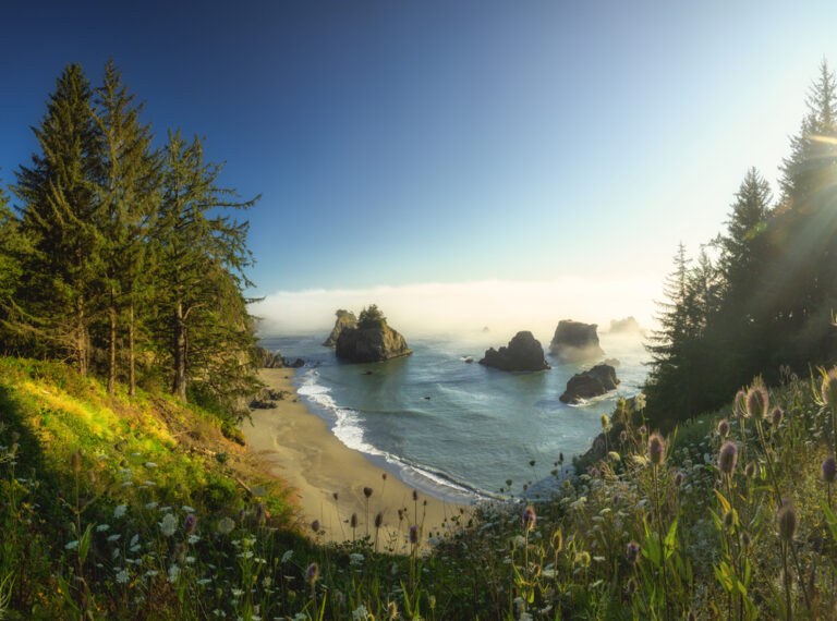 Camping Options on the Oregon Coast