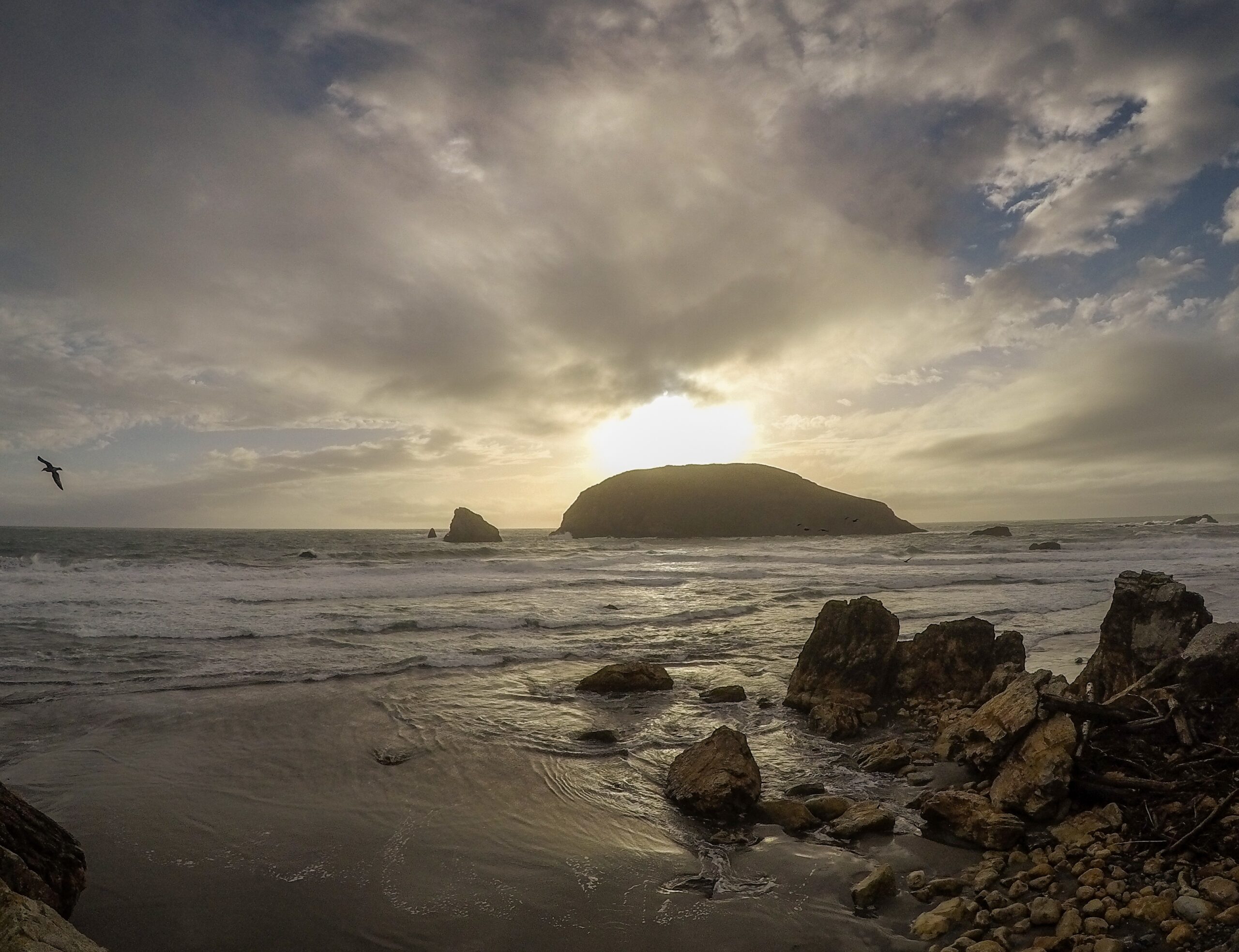 HarrisBeach-3-scaled.jpg