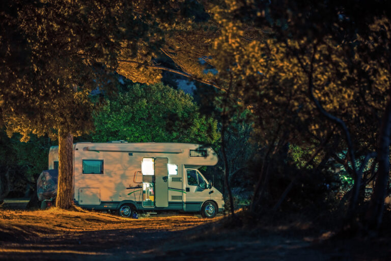 campingnight2-768x512.jpg