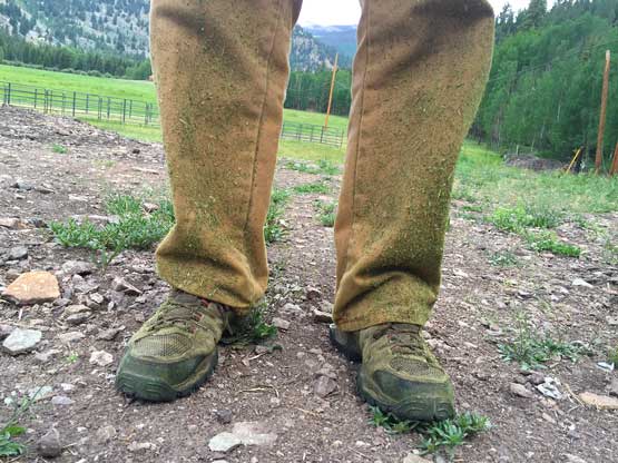 0816_weedeat.jpg