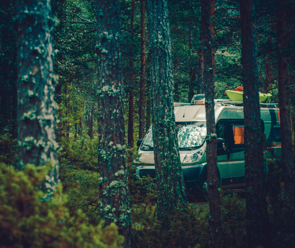 Boondocking in Forest.png