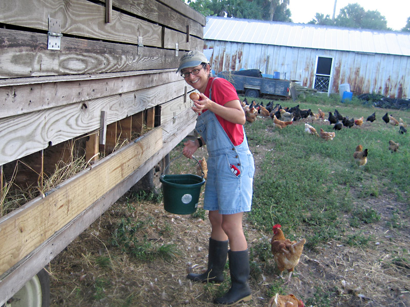 Eggs01-1.jpg