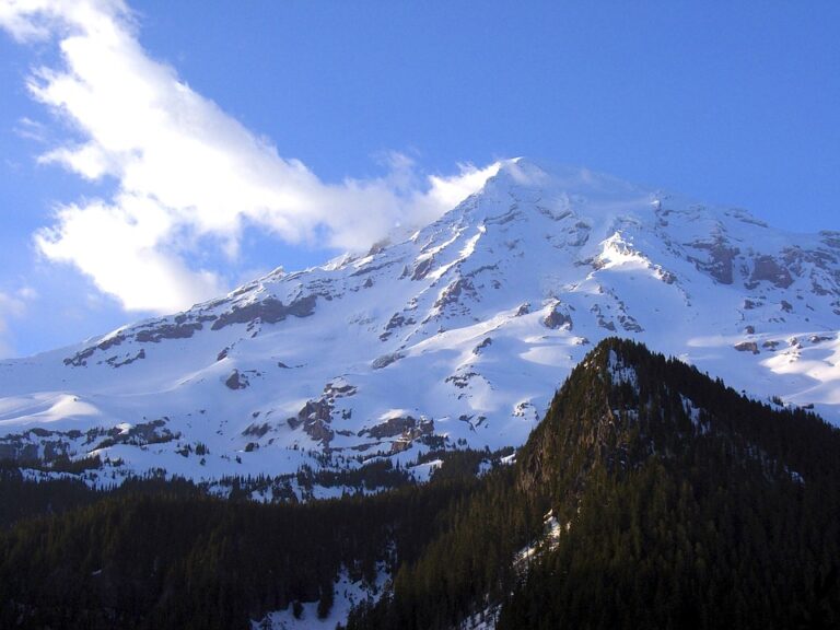 mount-ranier-national-park-768x576.jpg