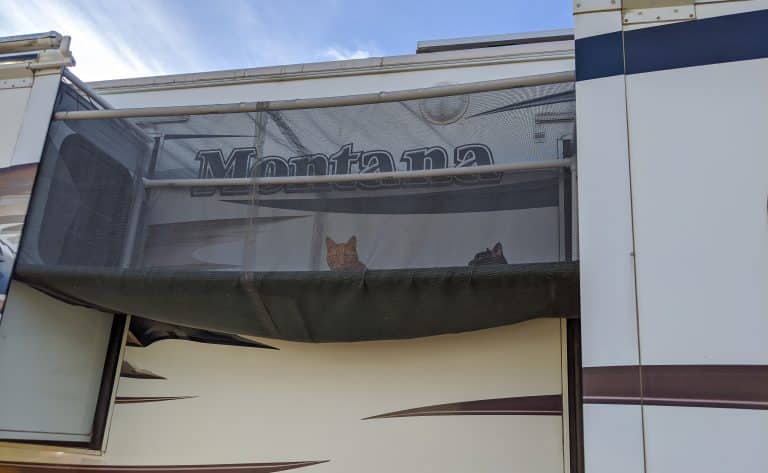 Catio-1-min-768x473.jpg