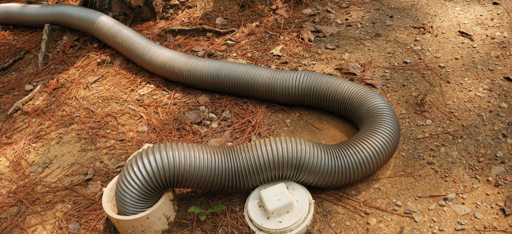 Stinky-slinky.jpg