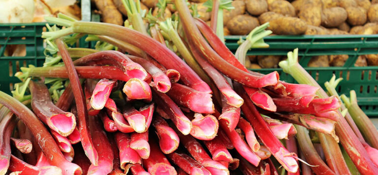 Finding and Enjoying Farmers Markets While Traveling