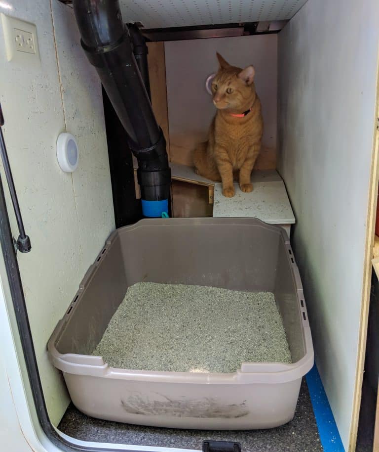 Litter-Box-2-min-768x914.jpg