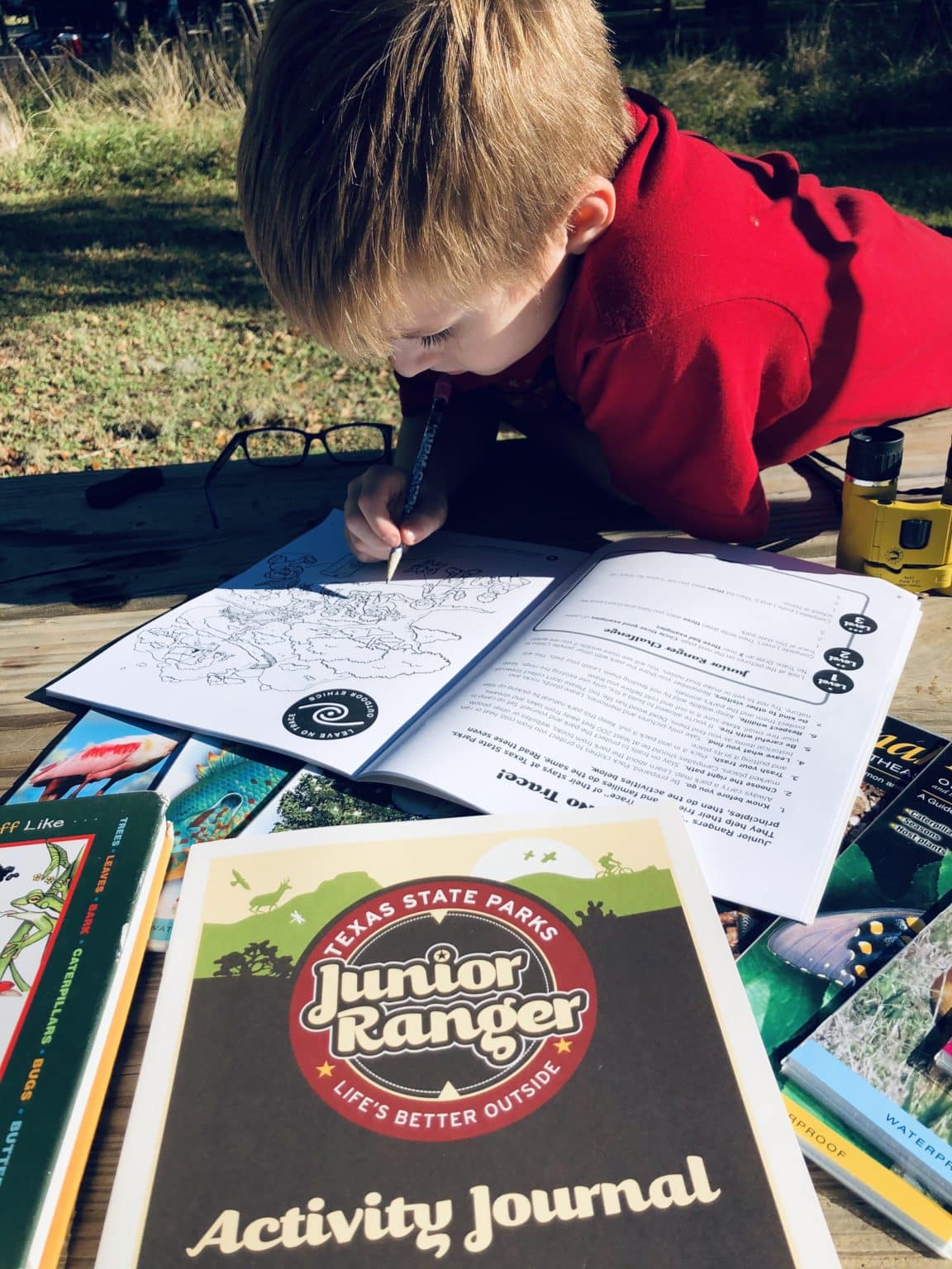 Jr-Ranger-work-1152x1536.jpg