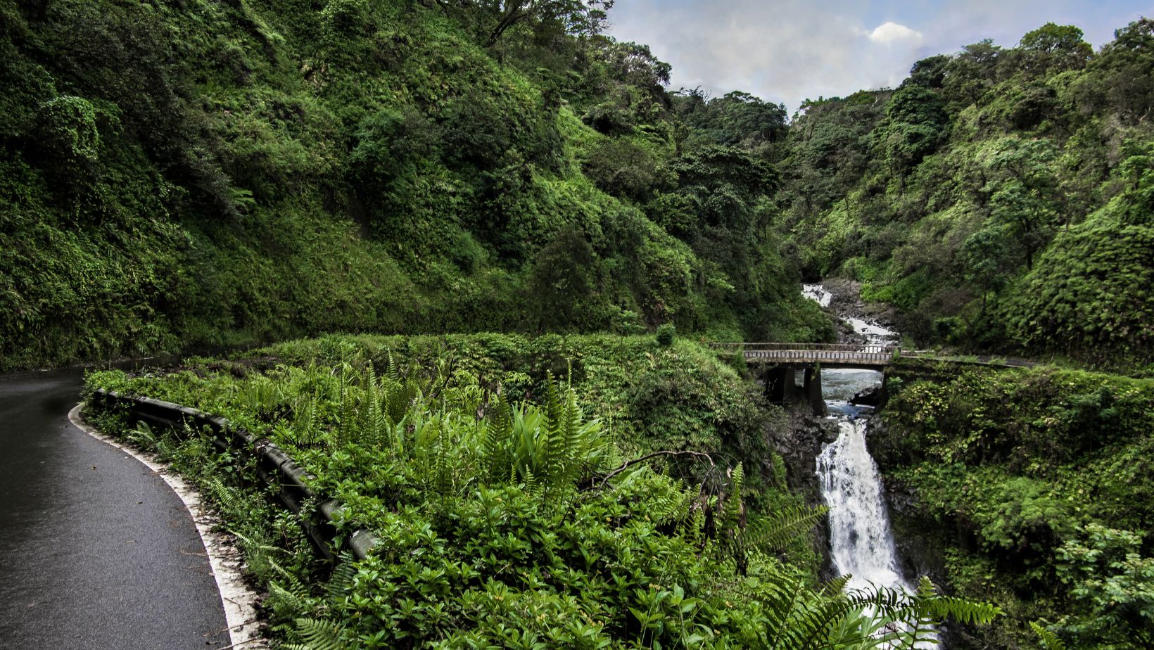 Hana-Highway.jpg