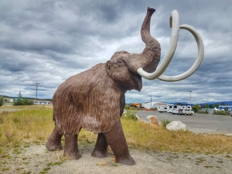 5-Yukon-Beringia-Interpretive-Centre-e1567876290224-768x576.jpeg