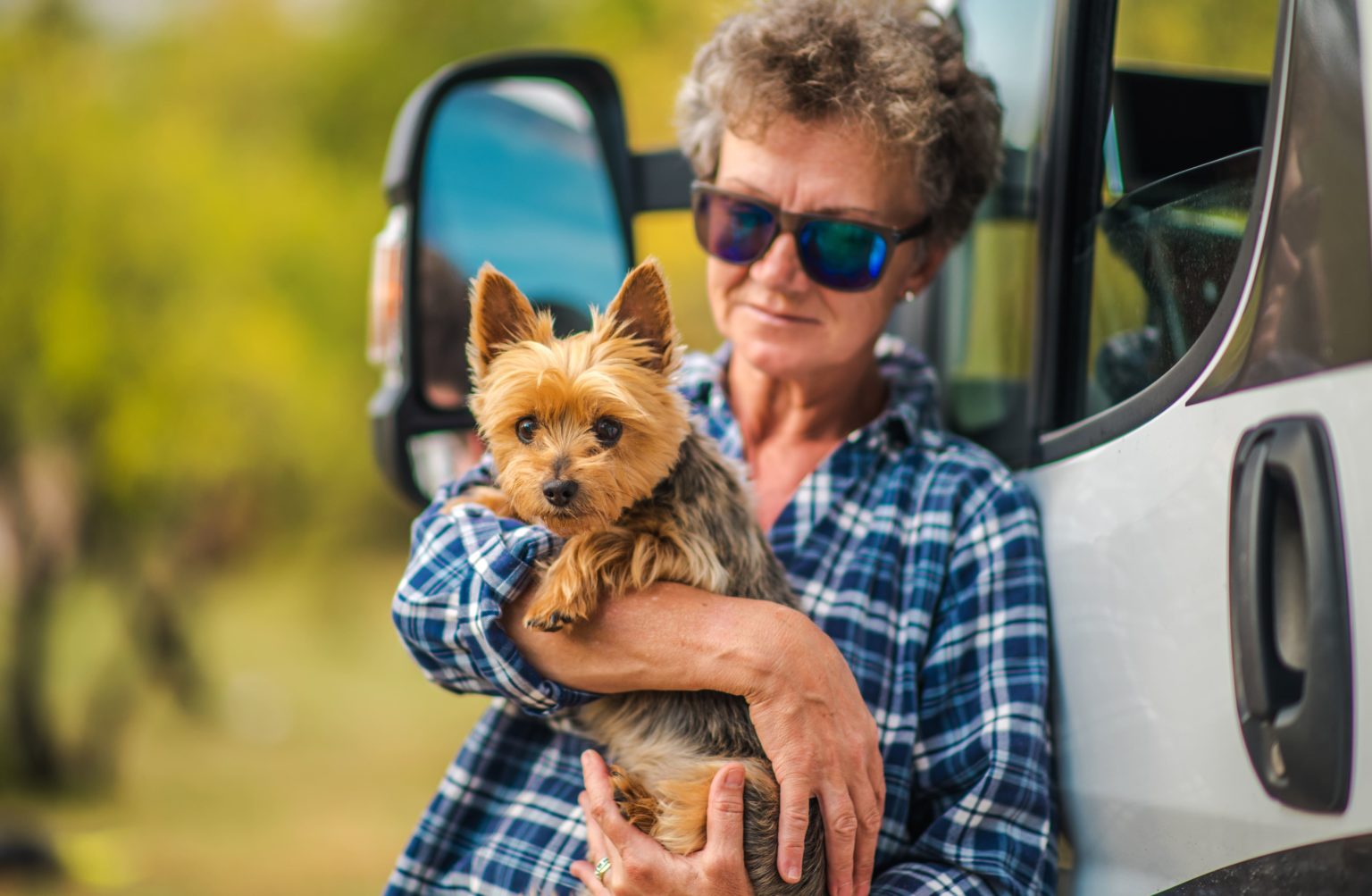 RV-pets-1536x1003 (1).jpg