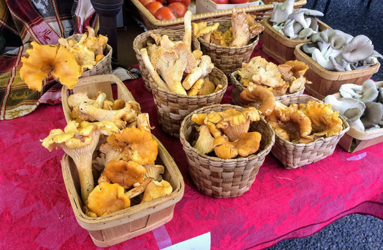 marketstall3-768x502.jpg