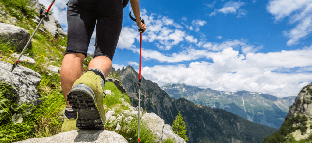 hiking-poles-1024x468 (2).png