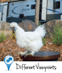 Different Viewpoints