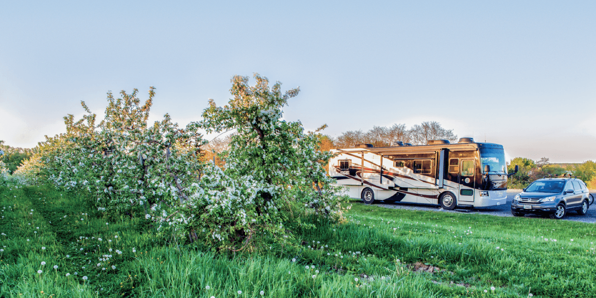 Keep your green thumb while Gardening on the Go