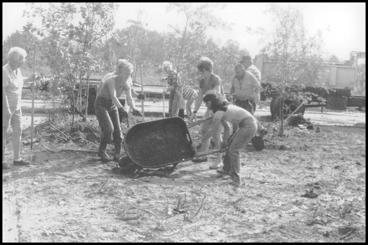 volunteers-clearing-area.jpg