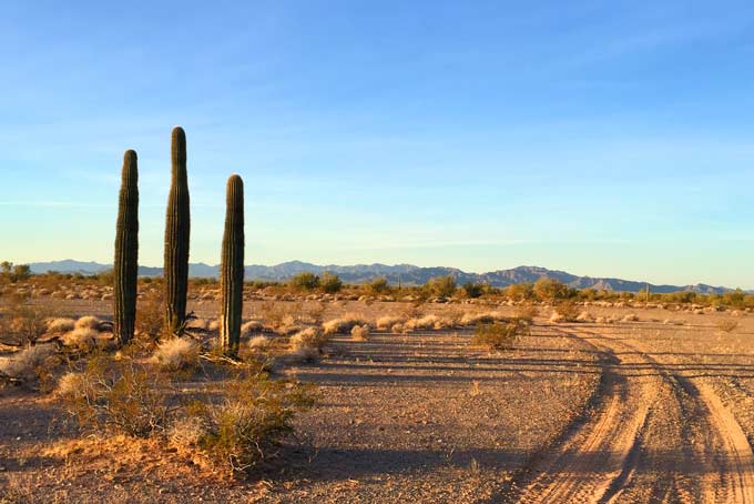 011918w_quartzsite-2712.jpg