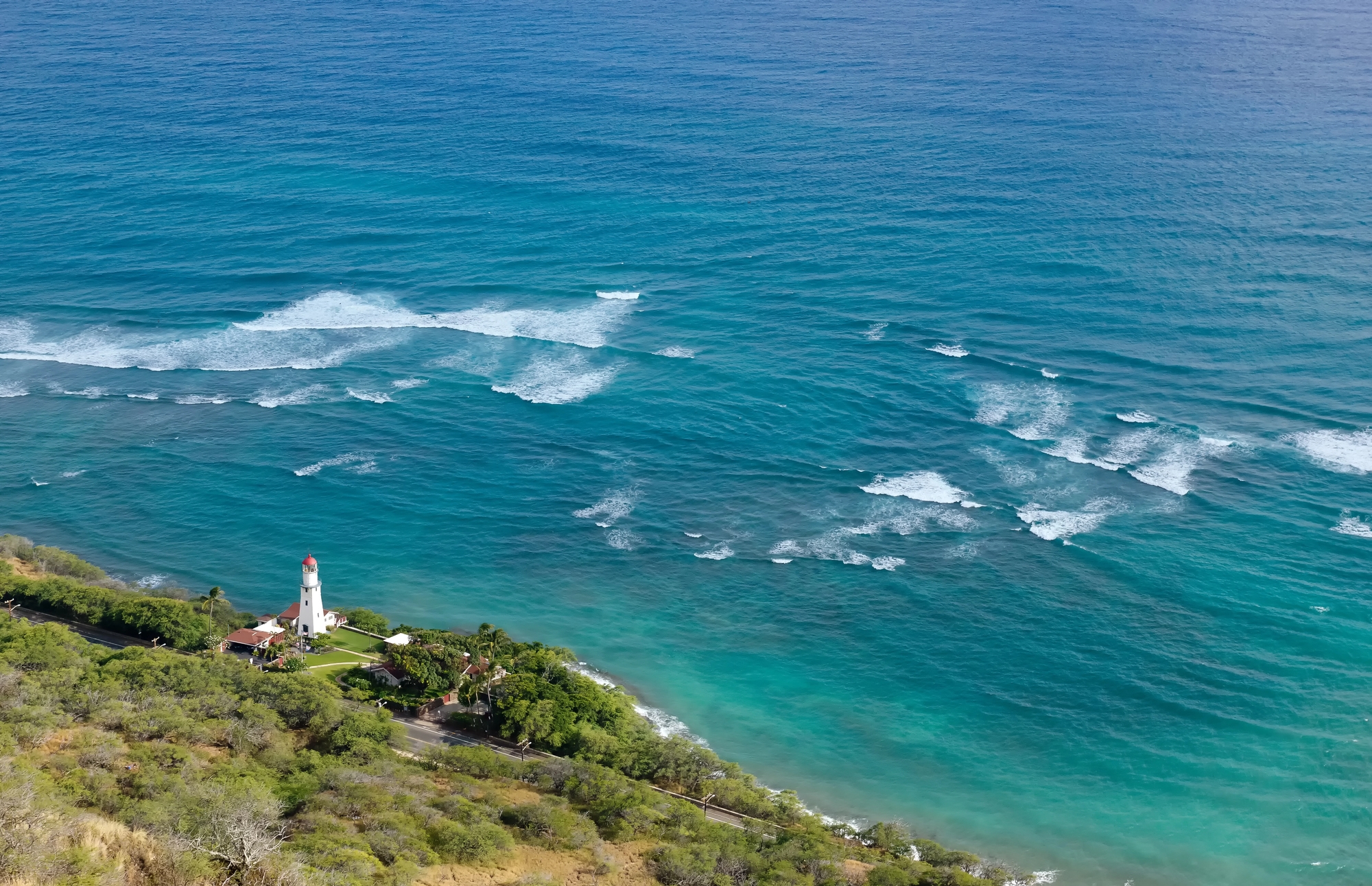 Cruise to Hawaii