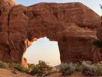 Arches.jpg