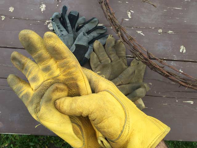0916w_gloves7132.jpg