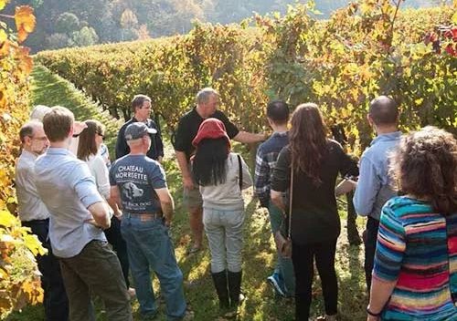 DuCard Vineyards tasting tour