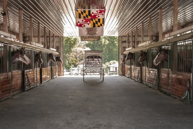 Horse Barn