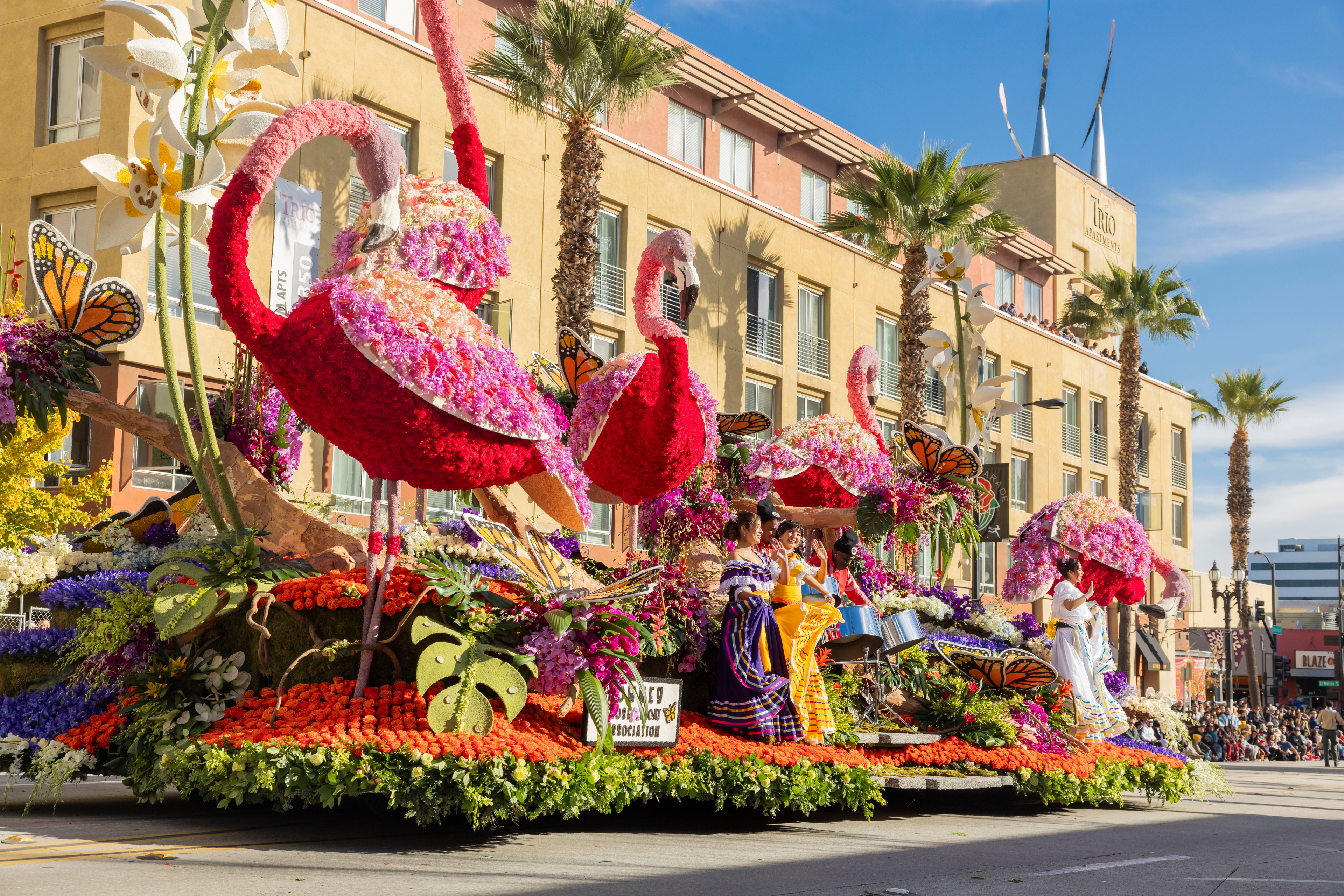 Flamingo Float