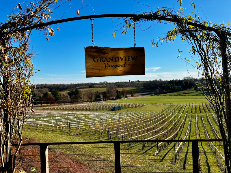 View of Hershey vineyards