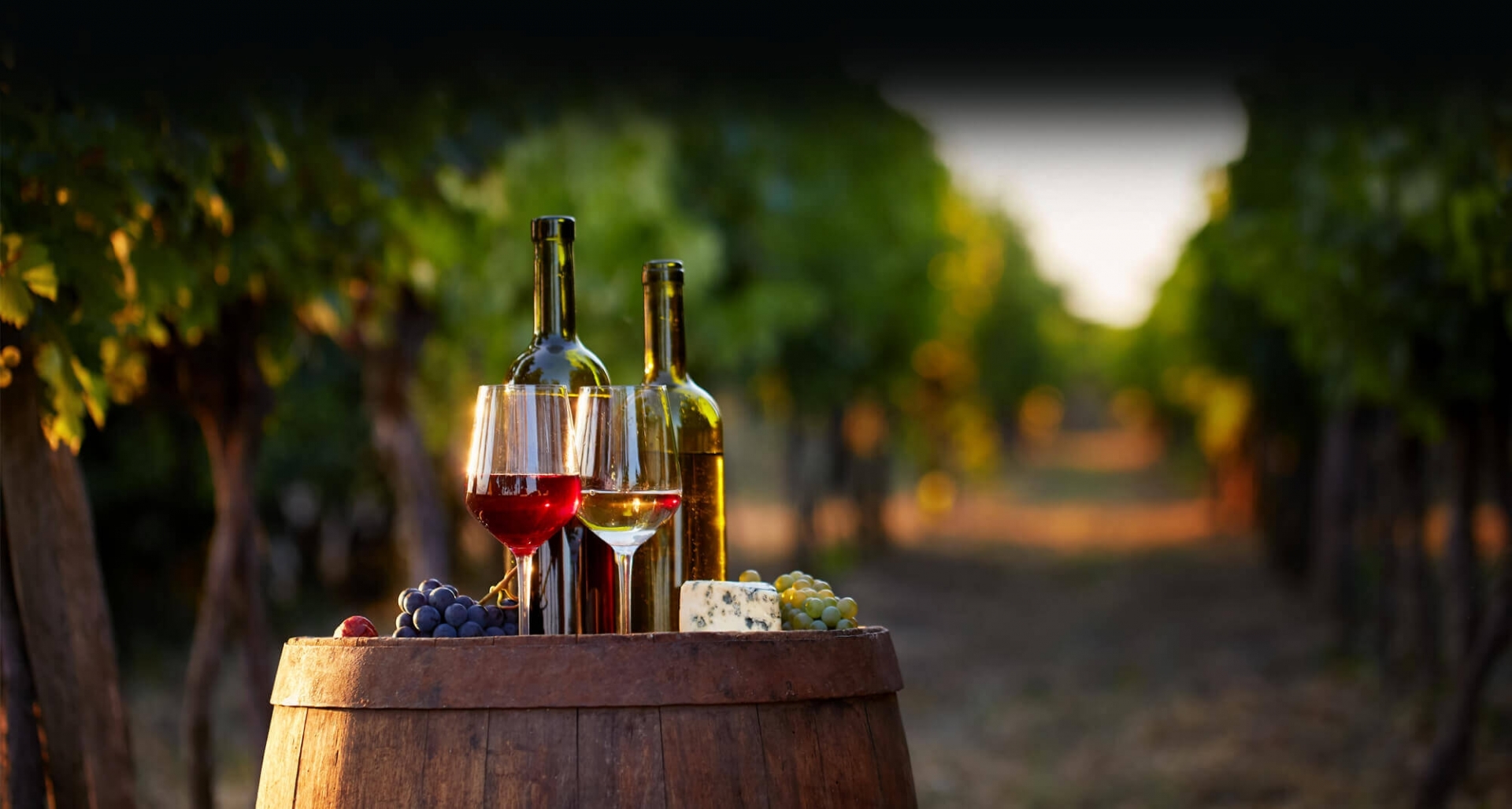 Wine and Cheese