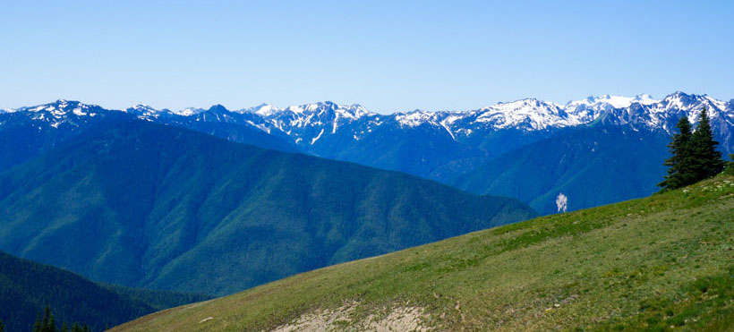Hurricane-Ridge2-4.jpg