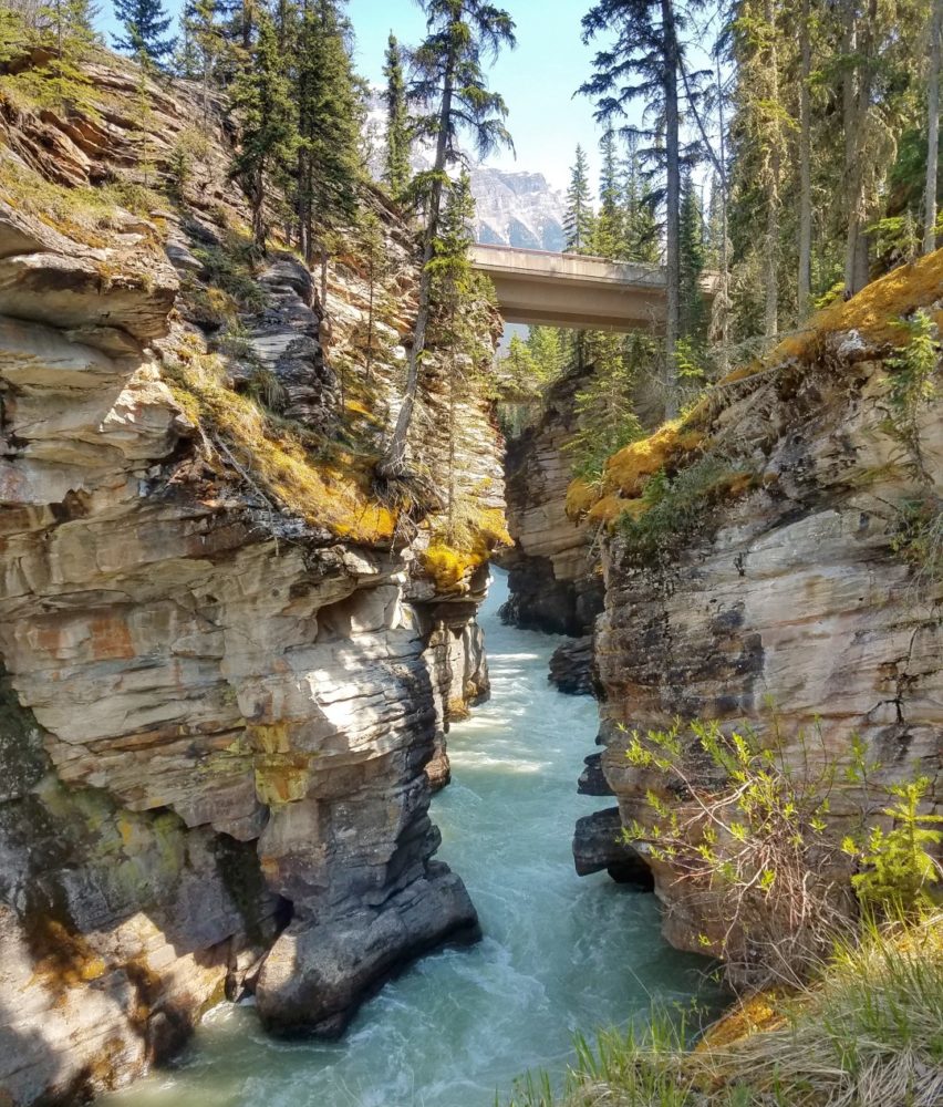 2-Athabasca-Falls-Canyon-Large-e1572881734973.jpeg