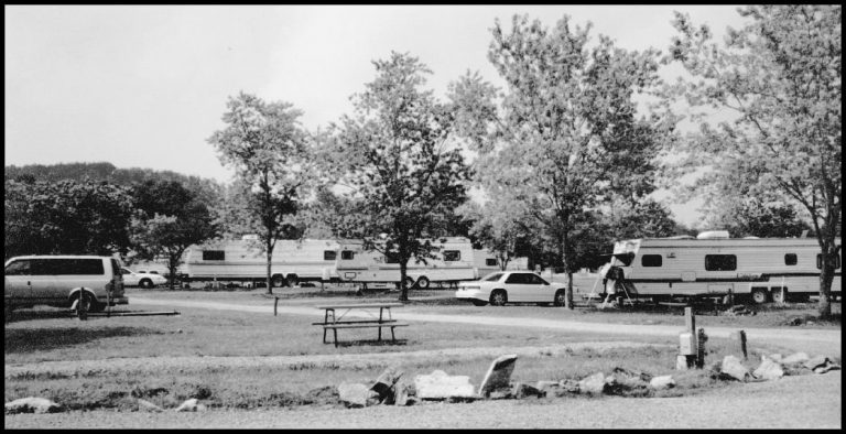 Raccoon-Valley-park-trees-min-768x394.jpg