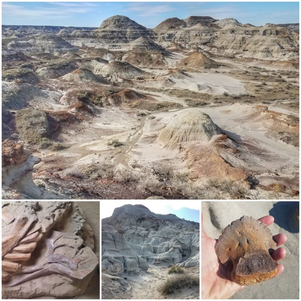 7-Dinosaur-Provincial-Park-Large-e1572882330721.jpg