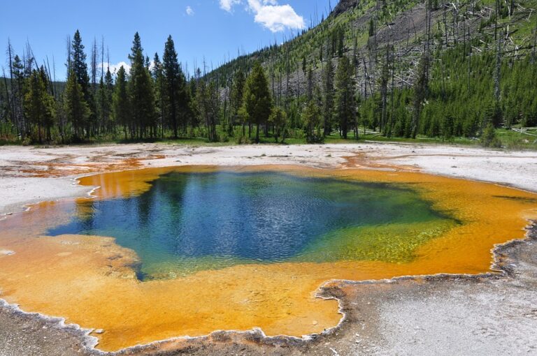 yellowstonenational-park-768x510.jpg