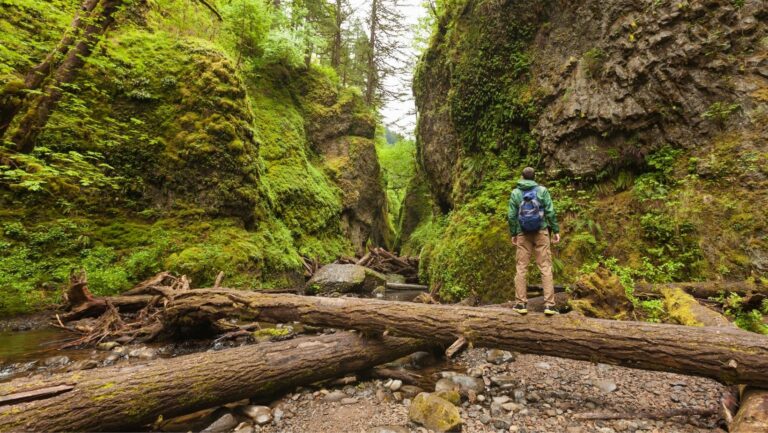 Once Bitten, Twice Shy: What You Should Know About Lyme Disease