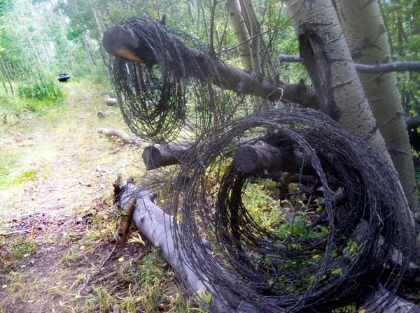 The Mountain Gives and Takes