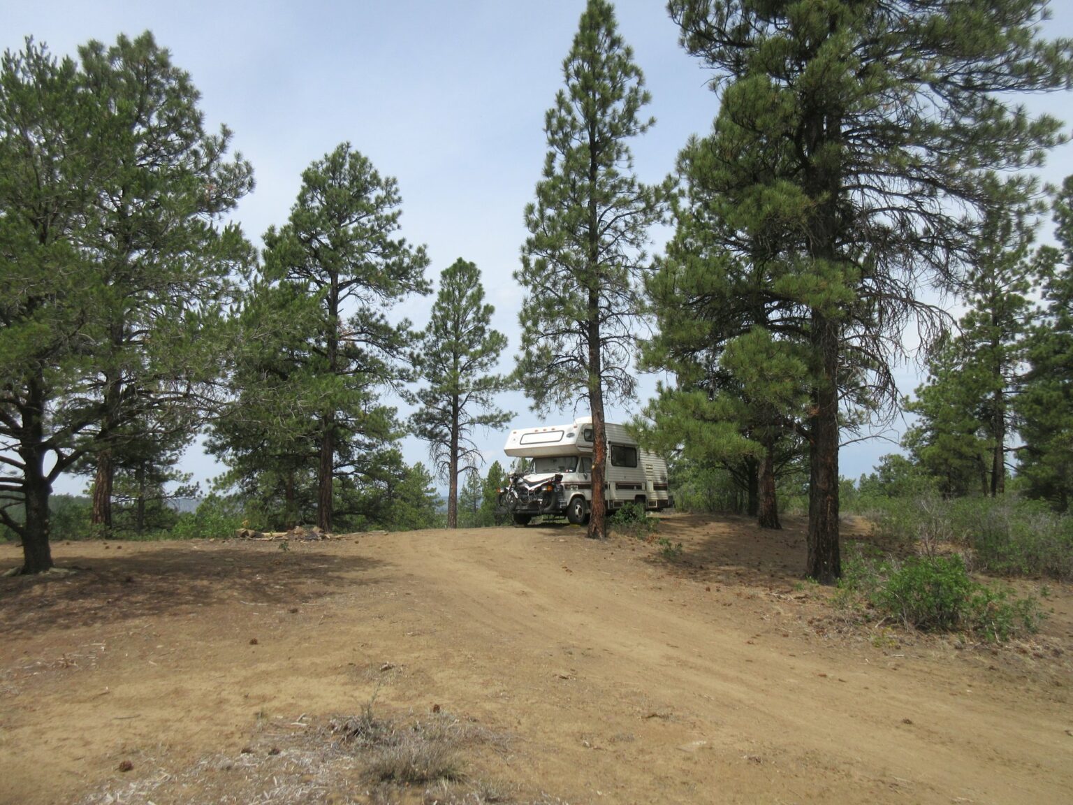 Carson NF Rules